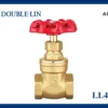 Double Lin Brass Gate Valve with Cast Iron Handle (LL4031)
