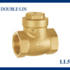 Double Lin Brass Swing Check Valve with Rubber Sealing (LL5077)