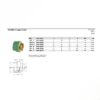Wefatherm Transition Hexagon Female PP-R / Brass – SDR 6 (Green)