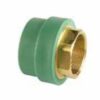 Wefatherm Transition Hexagon Female PP-R / Brass – SDR 6 (Green)