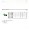 Wefatherm Pipe Connection Brass Nut Female PP-R/Brass SDR 6 – Green