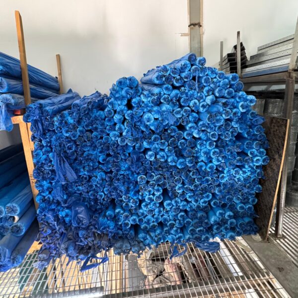 Polyethylene Sheet (Plastic Roll)