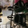 Wheel Barrow – Heavy Duty Steel Frame