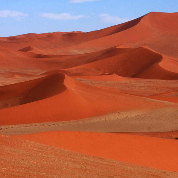 Red Sand 2 Red Sand – Premium Dune Sand for Construction & Landscaping